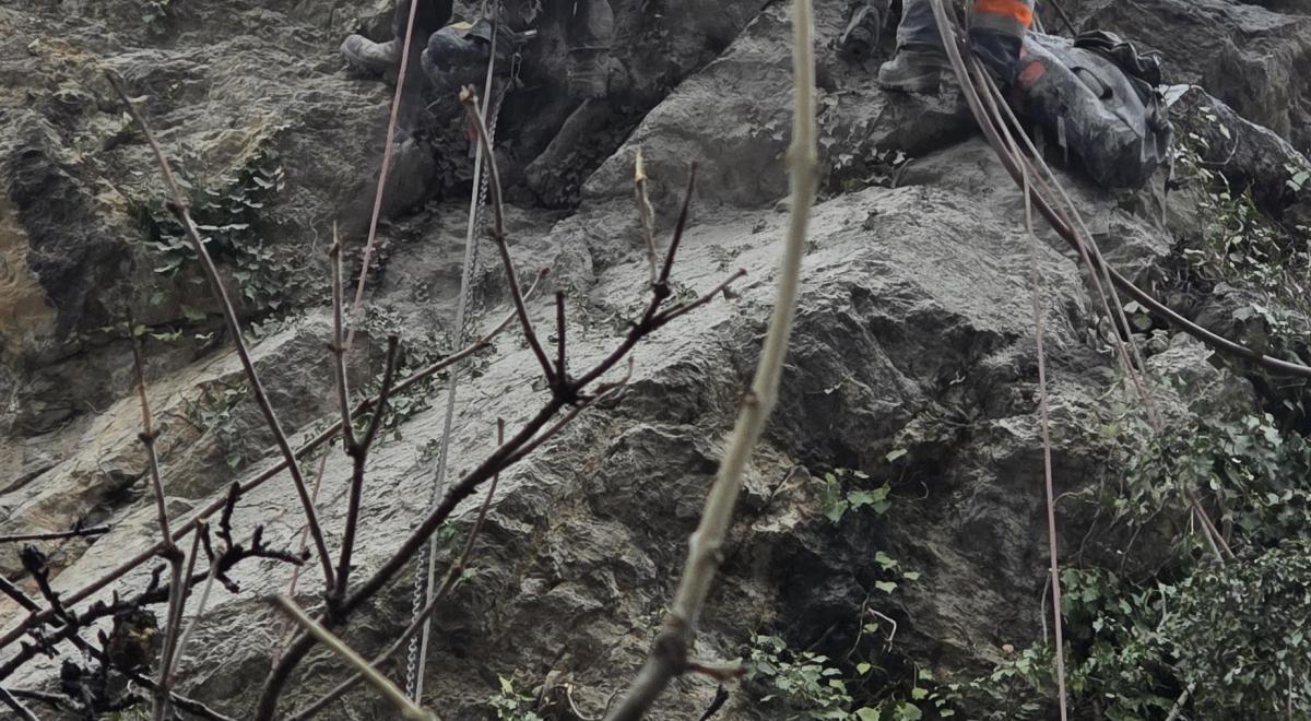 SECURISATION FALAISE DU CHATEAU