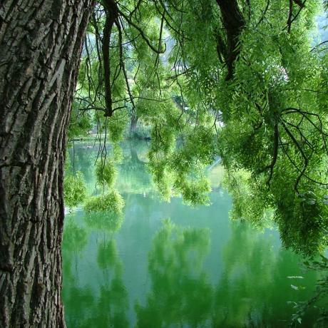 le lauzet ubaye les bords du lac