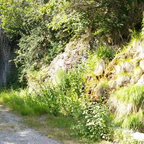 tunnel du Lauzet le lauzet ubaye