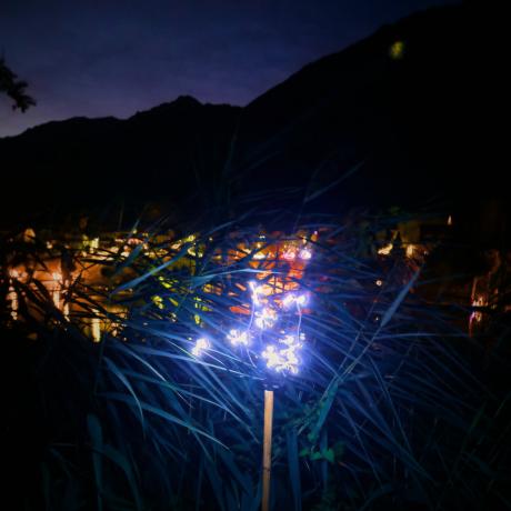 Cliché 8 Illumination du Lac par Les Enfants du Lac et Batucada La Clique Fête de Saint-Laurent 2026