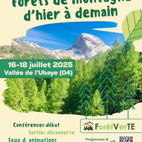 COMMUNE LE LAUZET-UBAYE affiche Foret Verte V1.jpeg