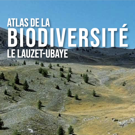 Atlas Biodiversité Lauzet Ubaye
