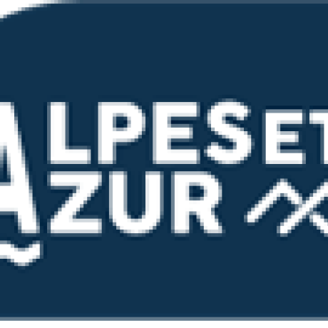 Projets