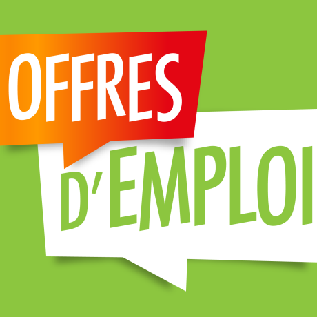 OFFRE D'EMPLOI