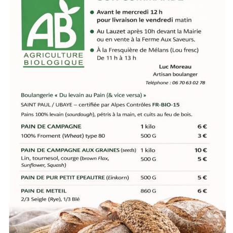 Du levain au Pain (& vice versa)