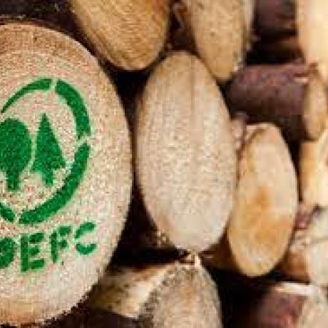 pefc image le lauzet ubaye fc le lauzet ubaye