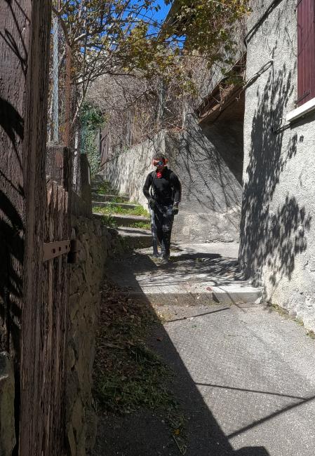 Nettoyage des feuilles mortes