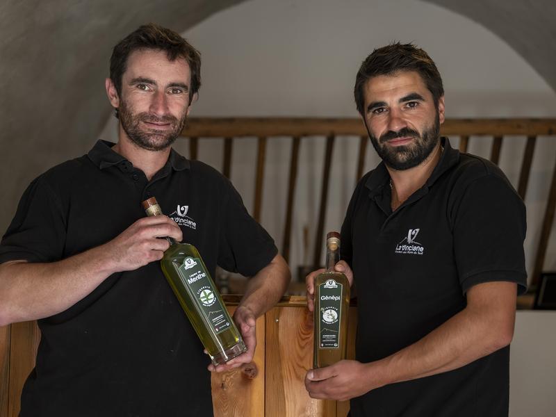 LES DEUX LIQUORISTES