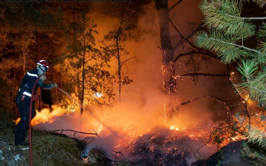 feu de forêt